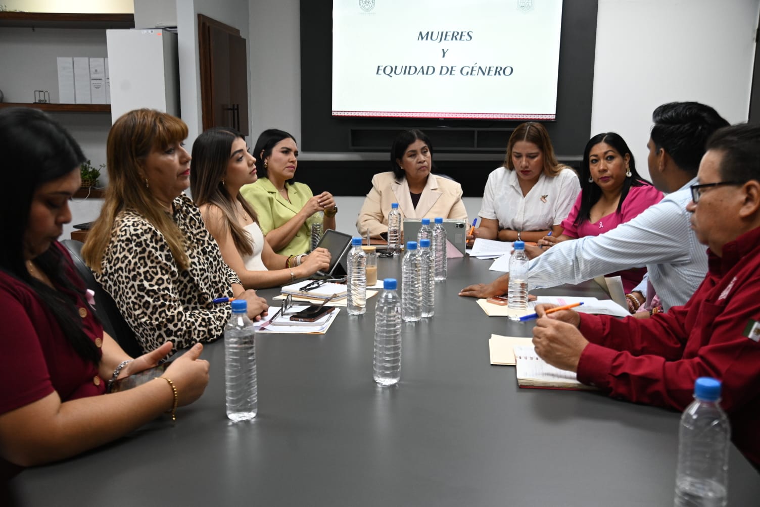 Revisa Comisión de Mujeres acciones de atención a la violencia y salud femenina