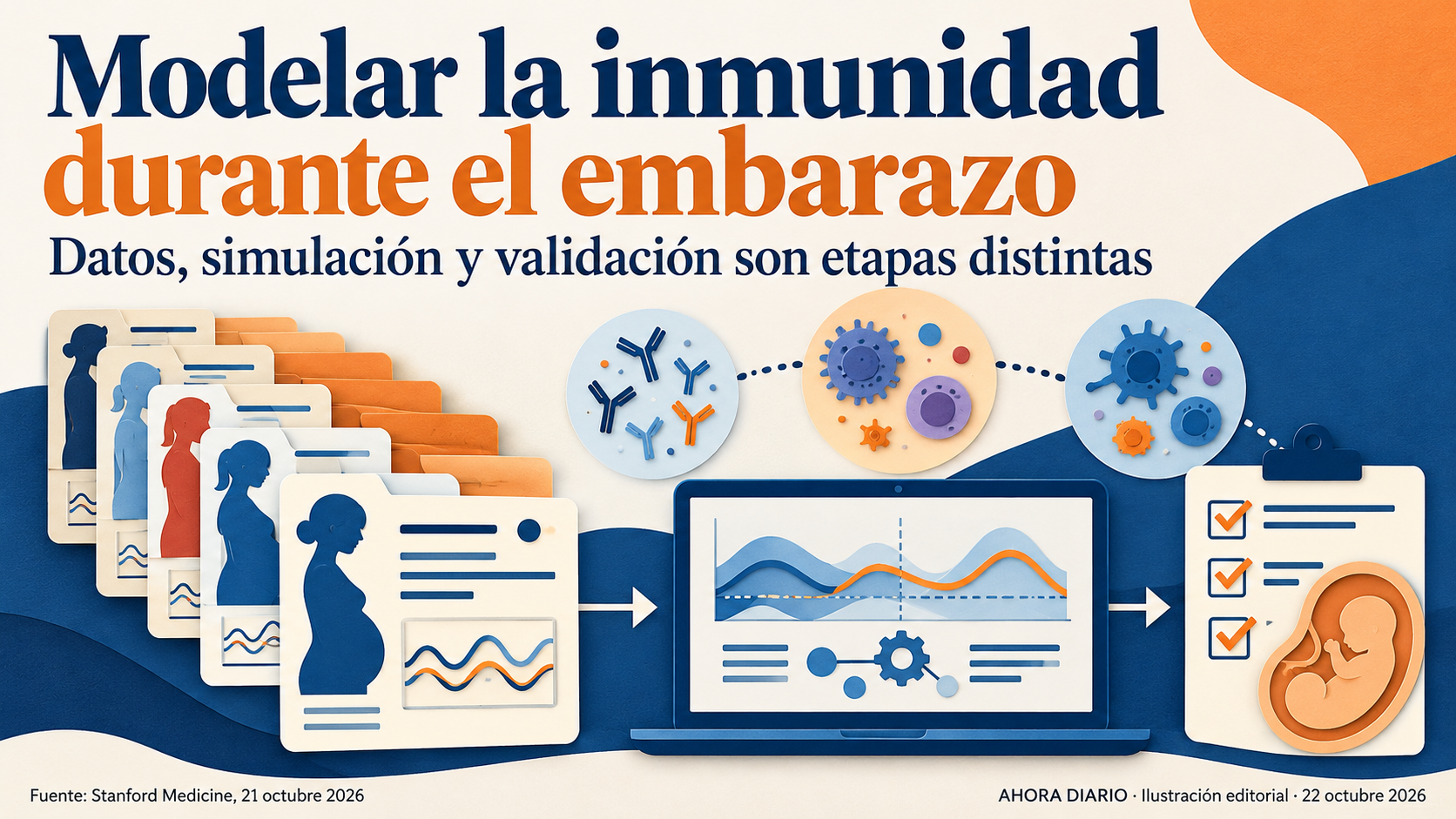 La modelización inmunológica integra datos y produce hipótesis que requieren contrastarse.