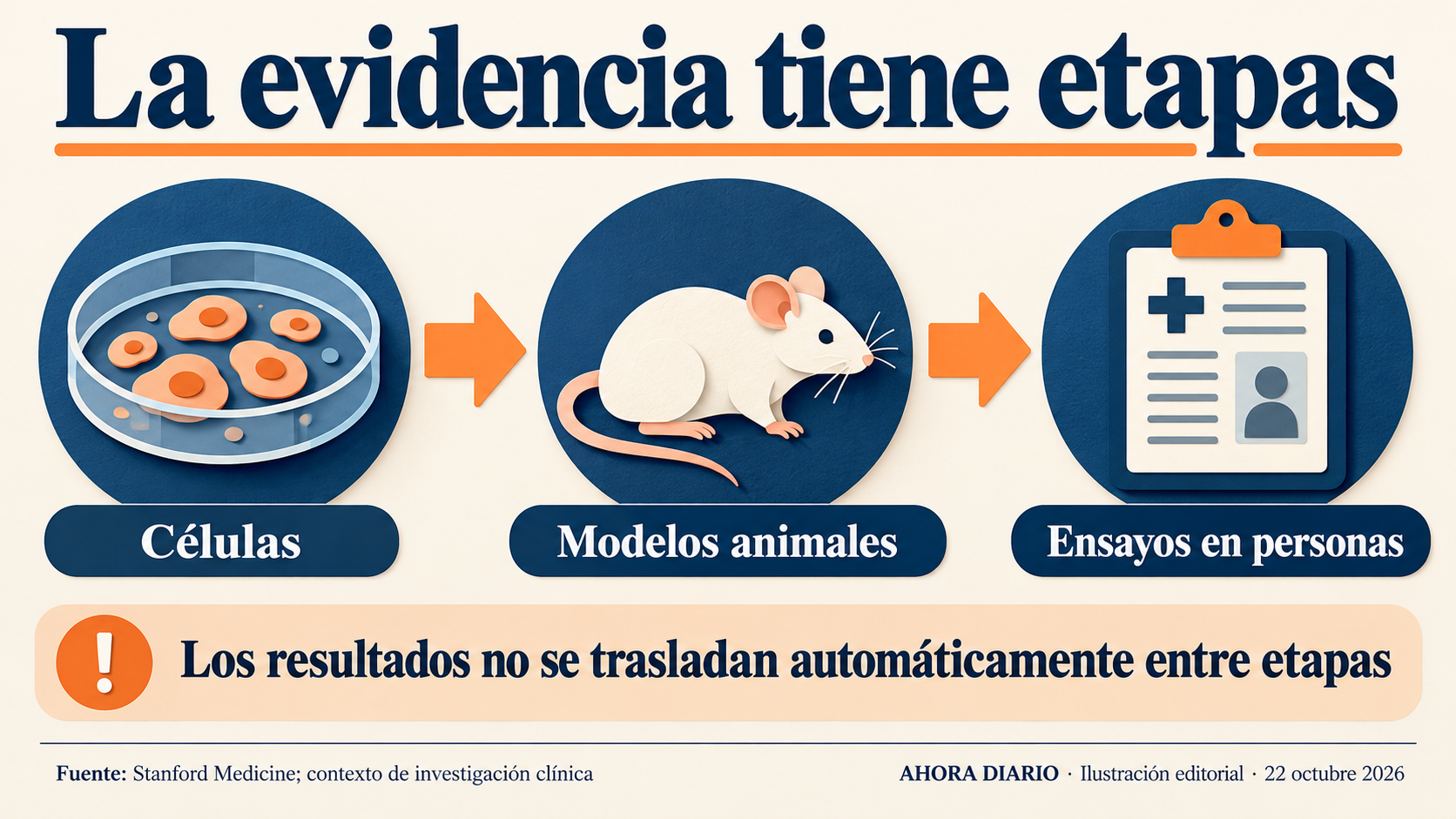Células, animales y ensayos humanos: etapas con preguntas y límites propios.
