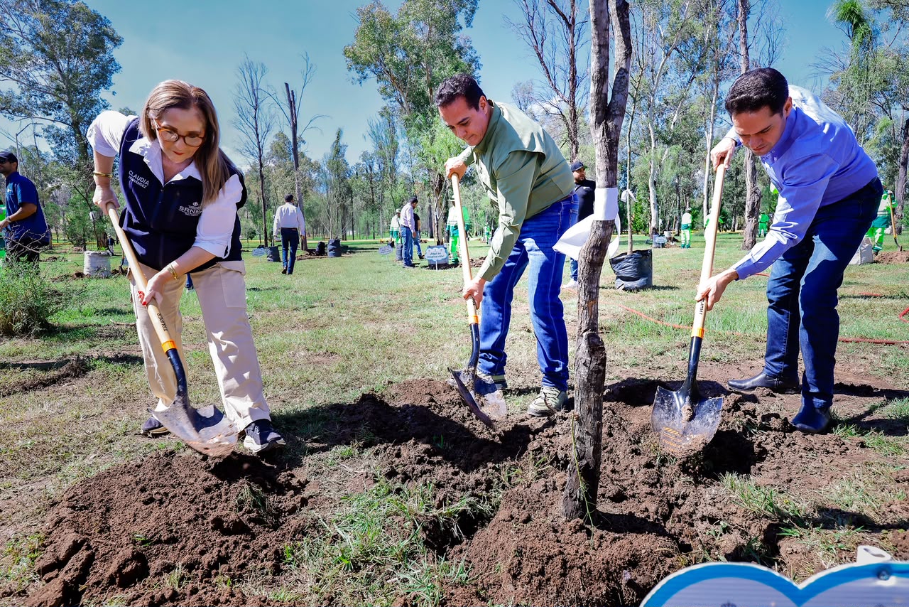 ¡Reforesta Toño Ochoa parques y espacios públicos!