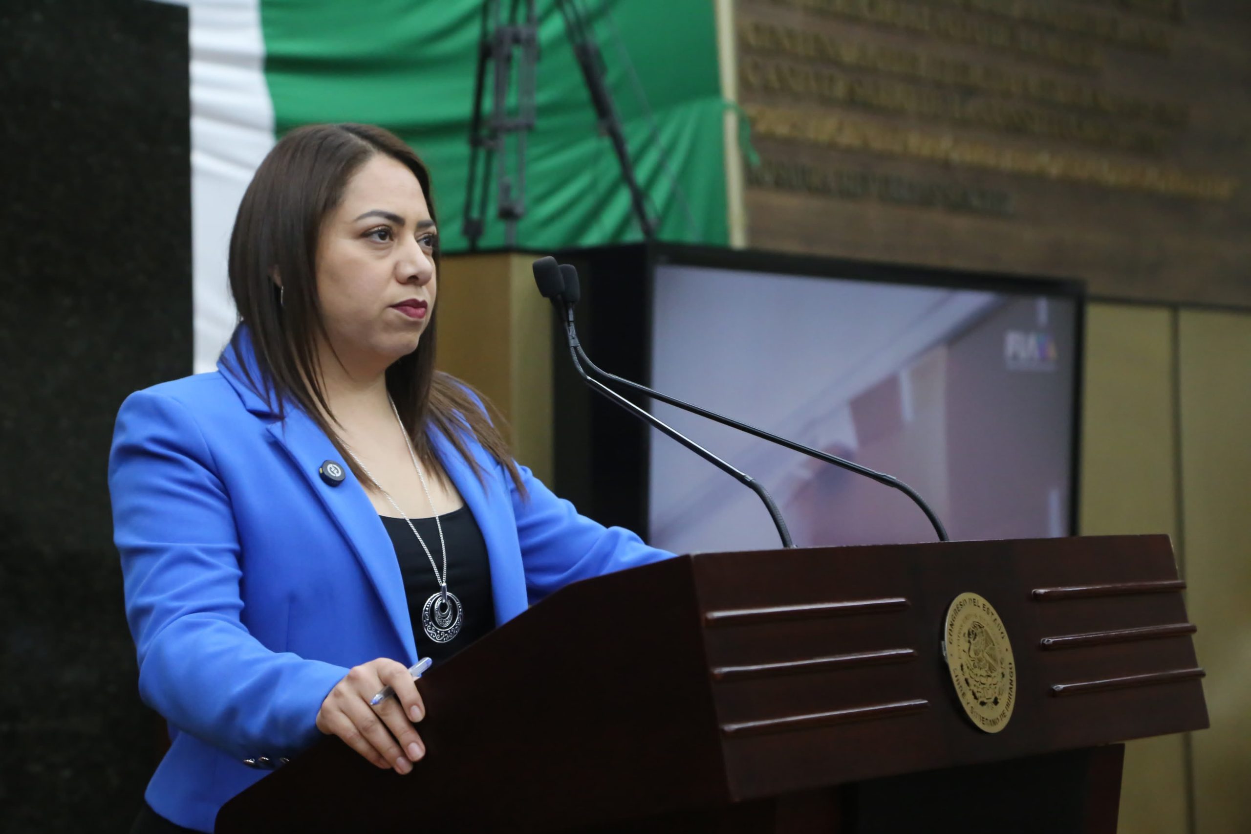 Quiere GP-PRI más cuidados para mujeres embarazadas